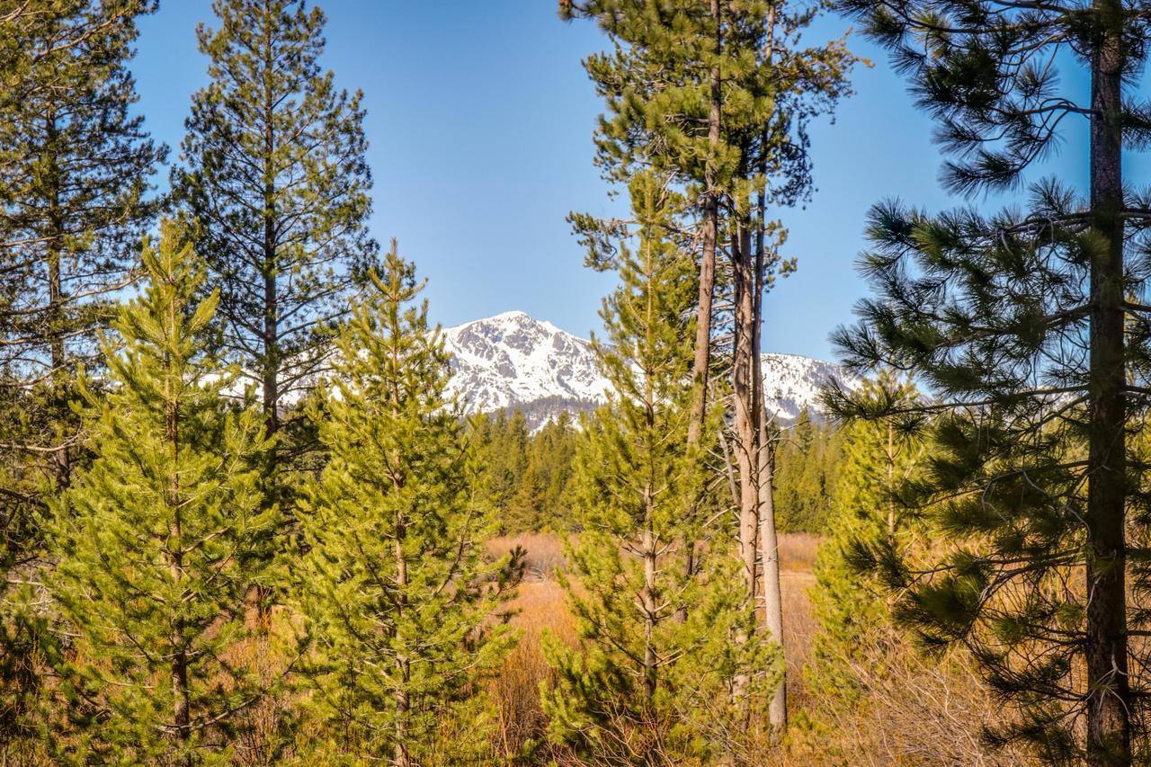 Willa Cozy Seclusion South Lake Tahoe Zewnętrze zdjęcie
